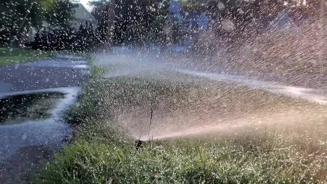 Backyard Lawn Sprinkler Spraying Water on Green Grass at Sunset. Real-time footage of an automatic sprinkler watering a vibrant green suburban lawn during golden hour. Backlit fine mist and water drop