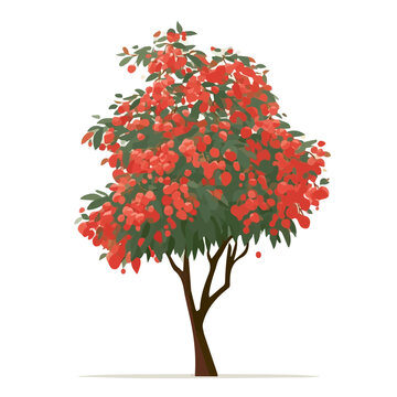 Flat 2D illustration of Lychee Tree, clean vector illustration style, isolated on a white background.