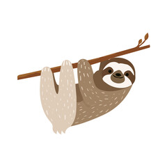 Fototapeta premium Clean flat 2D illustration of Sloth, simple contemporary design, isolated on a white background.