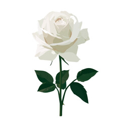 Fototapeta premium White Rose, flat 2D graphic illustration in a modern minimal style, isolated on a white background.