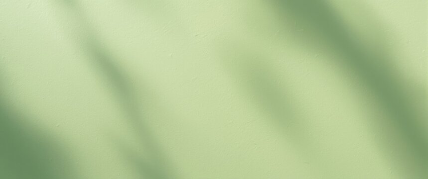 Soft Green Wall with Subtle Shadows in Natural Light