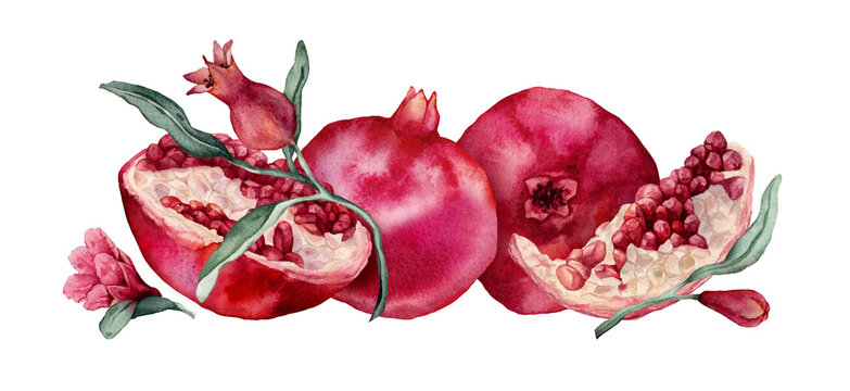 Set of compositions with whole pomegranate fruit and halved pomegranate showing red arils, flowers. Watercolor hand drawn illustration. Botanical tropical element isolated for food design.