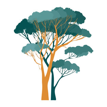 Eucalyptus Tree, modern flat 2D illustration with clean simple shapes, isolated on a white background.