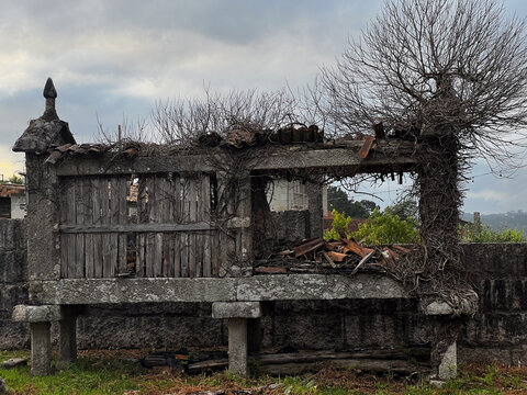 Ruined Galician horreo granary on Camino de Santiago, Spain