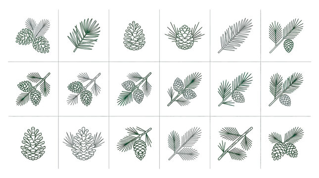 Collection of minimalist pine cone and evergreen branch line art icons set in green color isolated on white background for botanical nature design elements and forest themed graphics