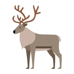 Fototapeta premium Reindeer, simple flat 2D artwork with minimal details, isolated on a white background.