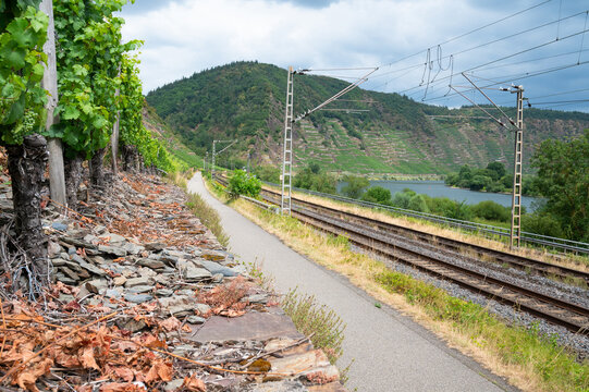 Railroad of regional train, Moselle valley in Winningen, Germany, railway tracks, modern public transportation, infrastructure in Europe