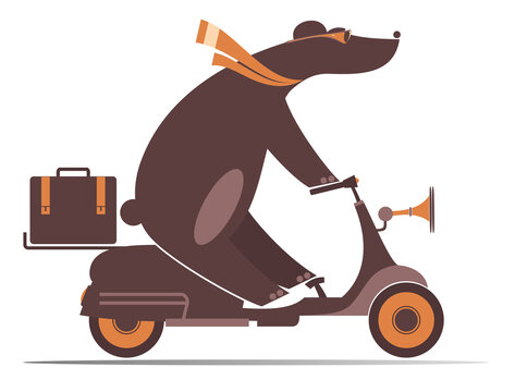 Riding scooter cute bear