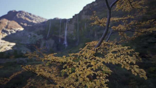 Autumn foliage and Casta&ntilde;o Overa glacier waterfalls in Nahuel Huapi National Park, Argentina