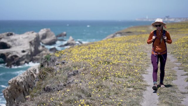 A mature woman enjoys hiking along Point Arena Coastal Trail next to the Pacific Ocean near Mendocino California on a sunny day