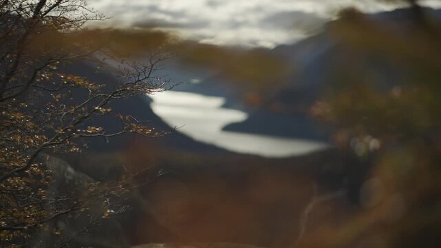 Selective focus of autumn leaves on a branch with a soft blurred mountain background, capturing the peaceful atmosphere of a temperate forest during the fall season.