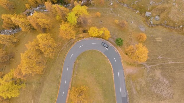 Aerial drone video of a winding asphalt road through a colorful autumn forest. Curved highway route in top view for travel background and transportation concepts.
