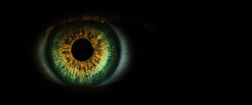 Closeup of a Human Eye with Green and Brown Iris against a Black Background