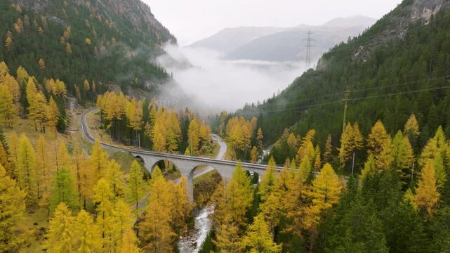 Aerial drone video of a high viaduct bridge and a road passing through a mountain autumn forest. Scenic engineering structure among colorful woods.