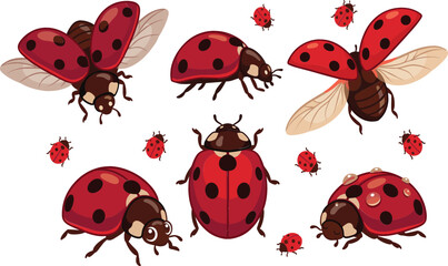 Red ladybug cartoon characters set with cute ladybirds flying crawling with open wings and water drops on shell isolated on white background vector illustration © Rumi
