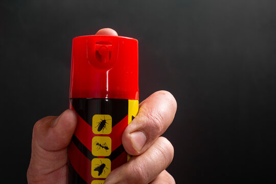 Hand Holding Insecticide Aerosol Spray Can on Dark Background