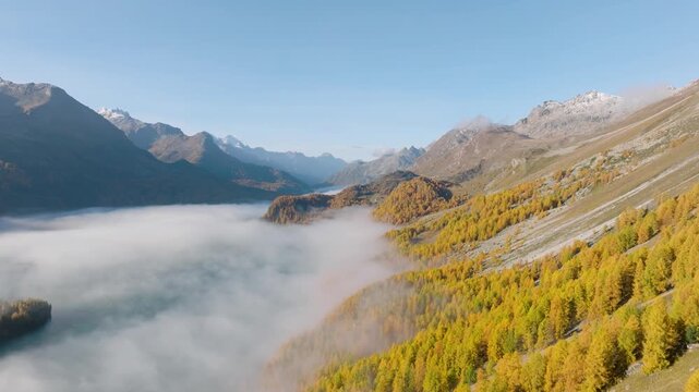 Aerial drone video of a foggy lake in a mountain valley during autumn. Golden sun rays breaking through dense fog over colorful forest and mountain peaks.