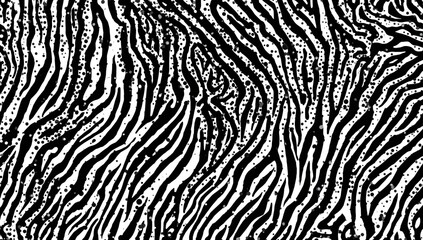 Abstract Black and White Zebra Stripe Pattern Background © vxnaghiyev