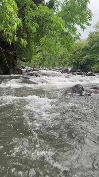Seasonal monsoon stream flowing through the lush Western Ghats in 4K.
