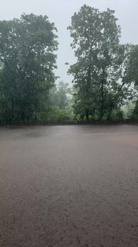 Heavy rainfall over lush paddy fields in rural Maharashtra during the monsoon.