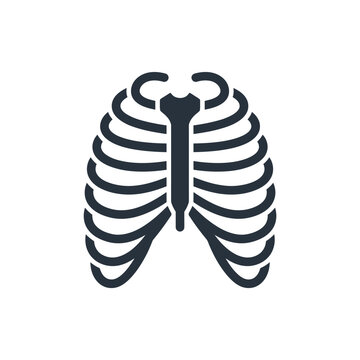 Isolated black silhouette of a human rib cage and sternum on a white background, medical and anatomical symbol