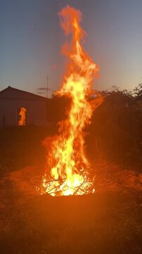 a large bonfire made of dry branches . High quality 4k footage