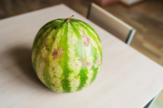 Whole fresh ripe watermelon on a table