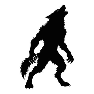 Halloween, Werewolf silhouette vector, howling wolf man monster, black mythical creature icon, spooky halloween lycanthrope character for graphic design isolated on White Background