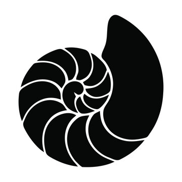 Black silhouette of a nautilus shell showing its Fibonacci spiral pattern and chambers