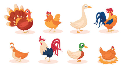Cartoon farm birds. Funny chicken and rooster, goose, duck, turkey and quail. Agriculture animals for eggs and meat. Poultry farming nowaday vector characters © LadadikArt