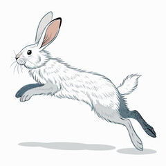 Obraz premium dynamic vector silhouette of a fluffy angora rabbit jumping side view