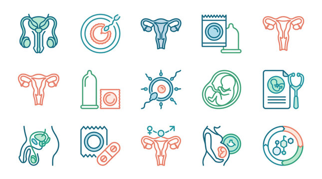 Professional Illustrated Icons Set of Female Reproductive System Contraception Pregnancy and Medical Procedures in Colorful Line Art