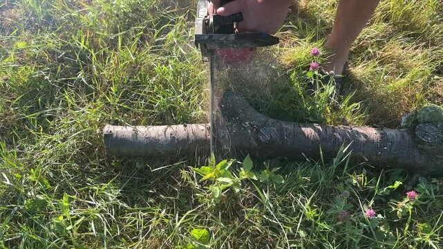 Cutting a dry cherry log with a chainsaw . High quality 4k footage