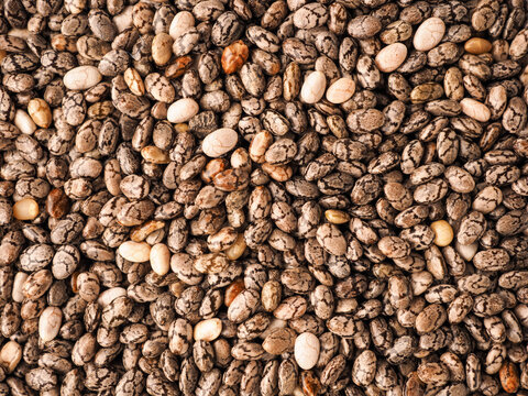 Full-frame close-up of chia seeds, super foods, macro shot of food supplements or ingredients, healthy eating concept, food texture using as header or background