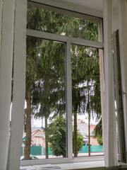 Obraz premium Open white window frame with view of green pine trees and outdoor nature