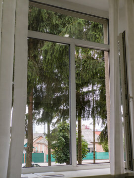 Open white window frame with view of green pine trees and outdoor nature