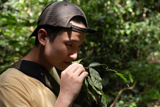 Close-up of a curious young Asian man wearing a backward cap smelling a green leaf while exploring a lush tropical forest