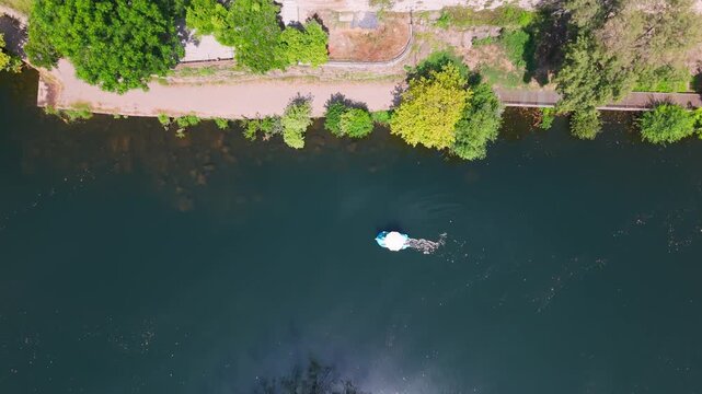 Aerial View of Catamaran on the Tamega River, Amarante, Portugal