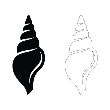 Two conch shell icons presented side by side on a white background for graphic design