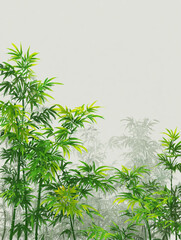 Fototapeta premium A serene Chinese ink painting style bamboo forest on a light green background with hazy mist, floating leaves, and elegant brushstrokes.