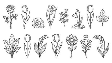 Spring flower coloring page with line art botanical garden collection. © SABIKUNNAHAR
