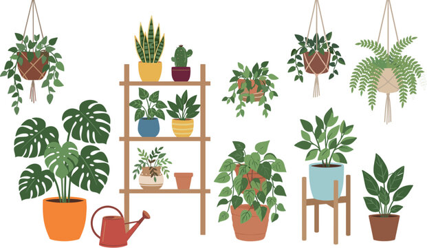 Potted houseplants collection on shelf and hanging macrame planters vector illustration set isolated on white background