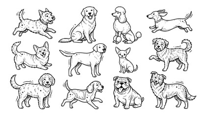 Fototapeta premium Whimsical Hand Drawn Doodle Dog Breed Collection Black Ink Line Art Vector Set Isolated on White Background