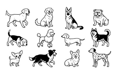 Hand Drawn Doodle Dog Breeds Set with Whimsical Black Ink Sketches Isolated on White Background Vector Illustration Collection © Md