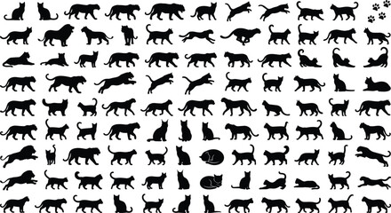 Fototapeta premium Cat Silhouettes Collection Featuring Domestic Cats Lions Tigers Panthers Paws Vector Icons