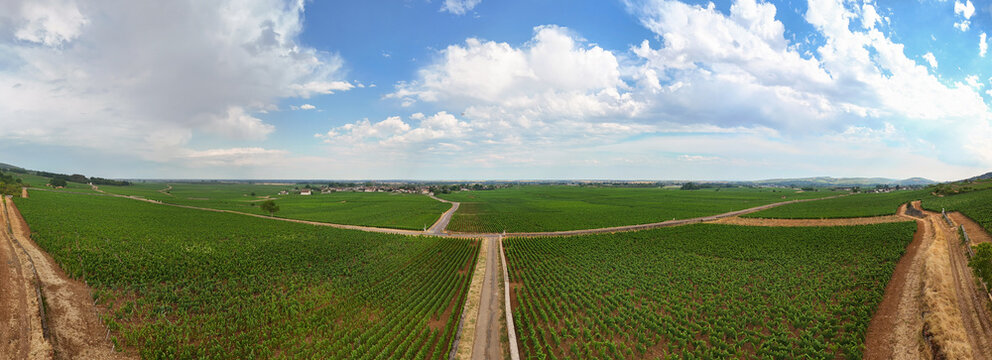 Aerial panorama of Burgundy vineyards in France, showcasing geometric rows of grapevines, rural roads, and expansive wine country beneath dramatic clouds.
