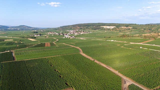Panoramic aerial view of Burgundy vineyards in France, showcasing expansive vineyard rows, rural roads, and rolling wine country beneath a clear blue sky.
