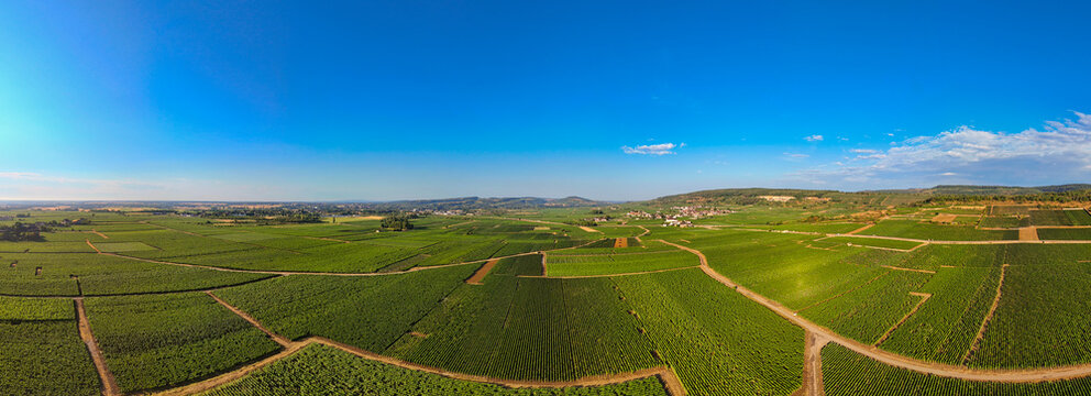 Panoramic aerial view of Burgundy vineyards in France, showcasing expansive vineyard rows, rural roads, and rolling wine country beneath a clear blue sky.