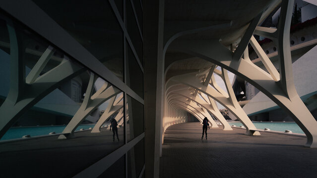 Arquitectura de la ciudad y las artes de valencia