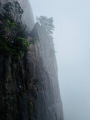 Granitowa ściana i samotne sosny we mgle w górach Huangshan, Chiny © Magorzata
